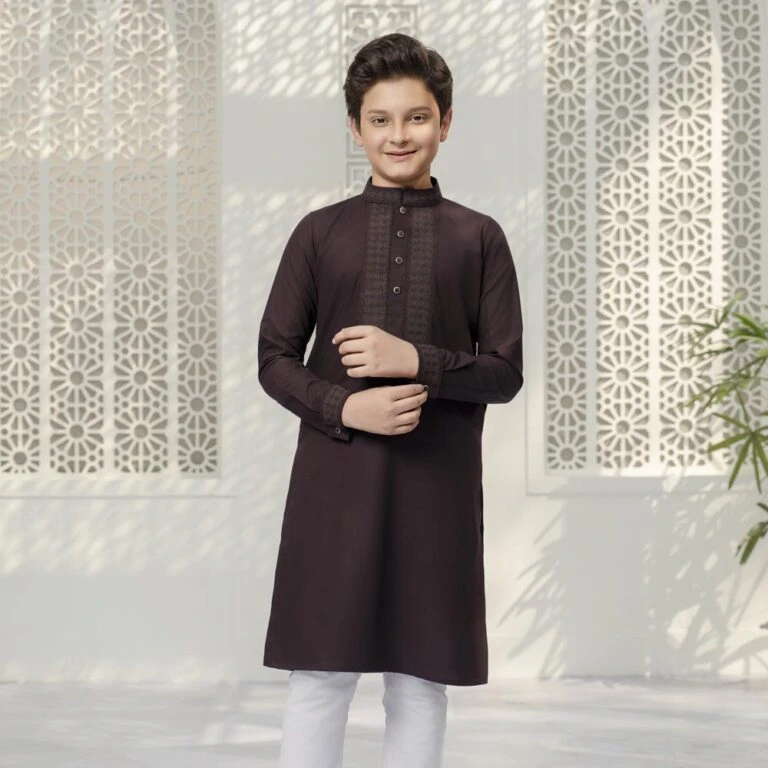 Brown Printed and Embroidered Mixed Silk Panjabi