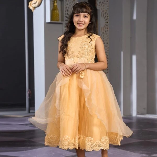 New Attractive Stylish Party Dress Baby Dress for Girls